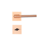 CE -13-